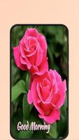 2 Schermata good morning rose