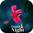 ”good night flowers images