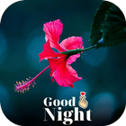 good night flowers images icône