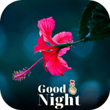 Good Night Flowers Images APK