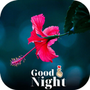 Good Night Flowers Images APK