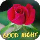 good night in rose APK