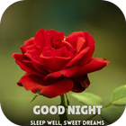 Good Night Roses simgesi