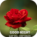 Good Night Roses APK