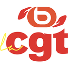 la cgt boulanger-icoon