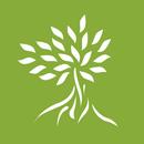 Leaves and Soul APK