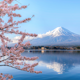 Mont Fuji APK