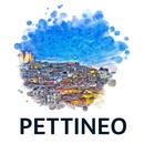 Pettineo APK