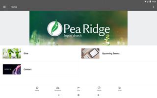 Pea Ridge capture d'écran 3