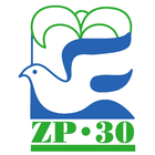 Radio ZP-30 图标