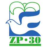 Radio ZP-30 icône