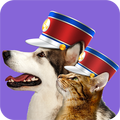 Pet Parade: Photo Game Contest for Cats vs Dogs