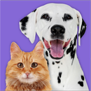 Pet Parade: Cutest Pet Game APK