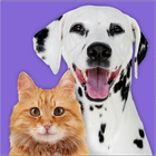 Pet Parade icon