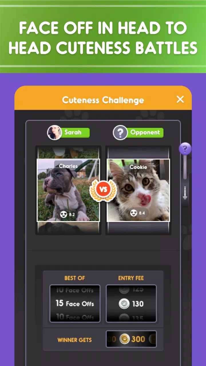 Pet Parade Apk For Android Download