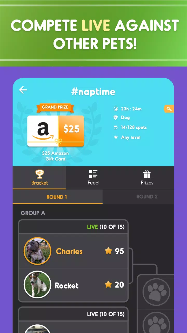 Pet Parade Apk For Android Download