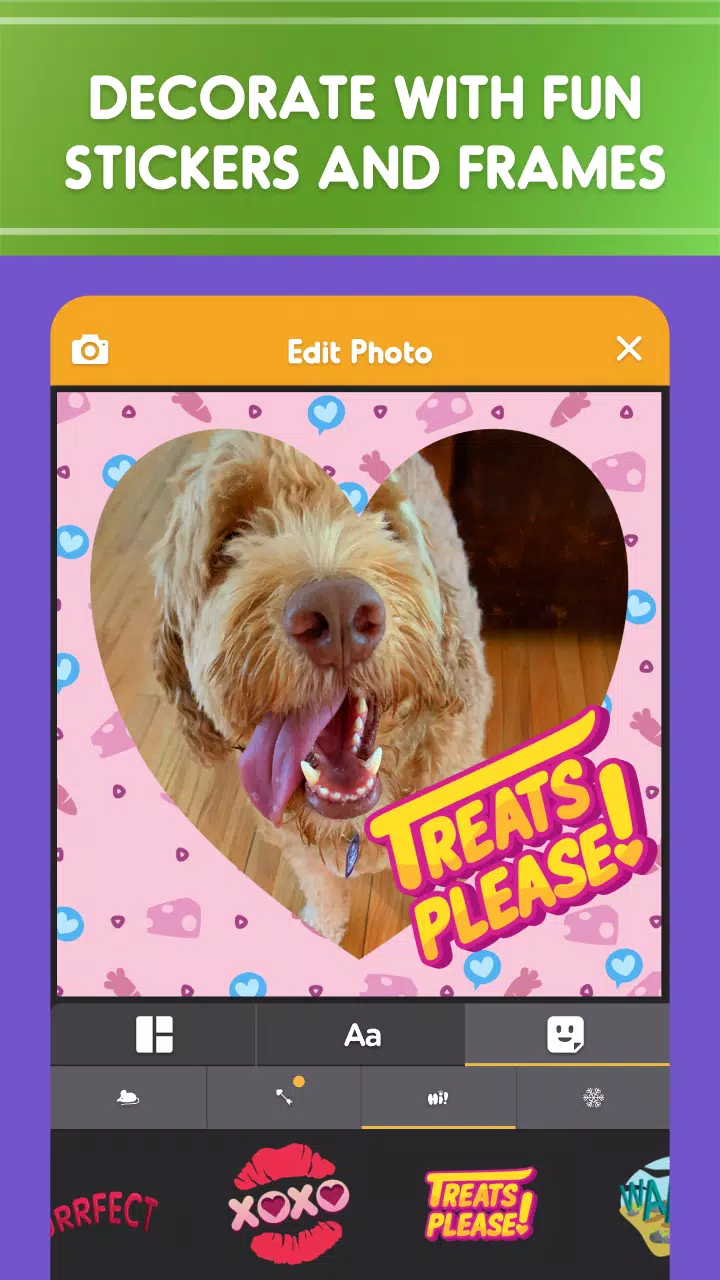 Pet Parade Apk For Android Download