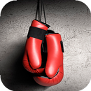 Boxing Wallpapers Full HD (backgrounds & themes) APK