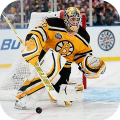 Hockey Wallpapers Full HD (Hintergründe & Themen) APK Herunterladen