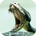 Snake Wallpapers Full HD (backgrounds & themes)