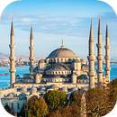 Blue Mosque Live Wallpaper (live backgrounds) APK