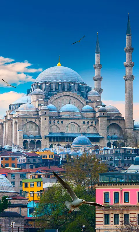 Android İndirme için Sultan Ahmet Camii Canlı Duvar Kağıdı APK
