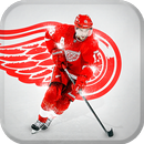 Hockey Live Wallpaper (live backgrounds & themes) APK
