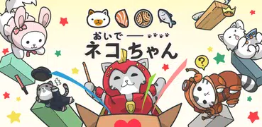 さあ、キティ