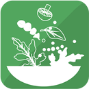 Salad Recipes APK