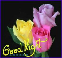 Good Night and Good evening Messages images GIF Affiche