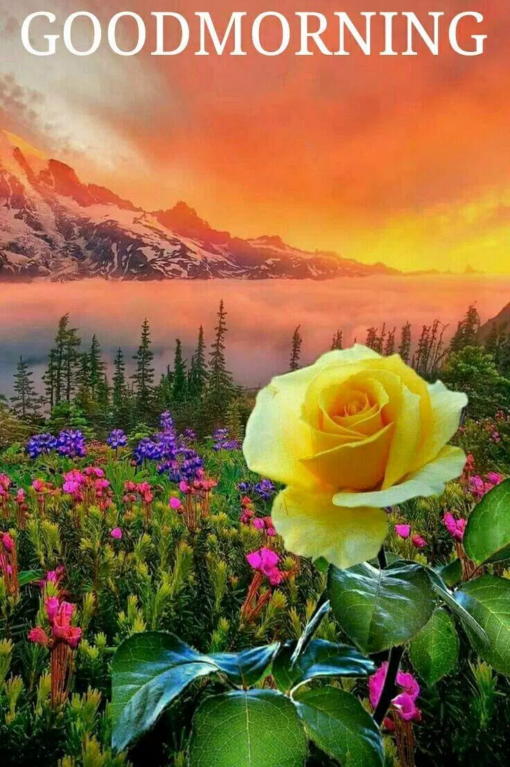 Good morning Images Gifs, Flowers Roses wallpapers APK for Android ...