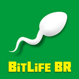 BitLife BR - Simulação de vida-APK