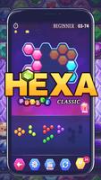 برنامه‌نما Hexa Puzzle Classic عکس از صفحه