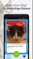 feed a cat Plakat