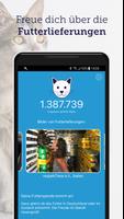 feed a cat Screenshot 3