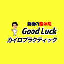 新橋整体GoodLuckカイロプラクティック APK