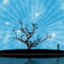 nature sounds APK