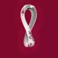 Qatar World Cup 2022:Tourism a