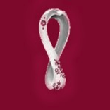 كأس العالم قطر 2022: السياحة والملاعب في قطر