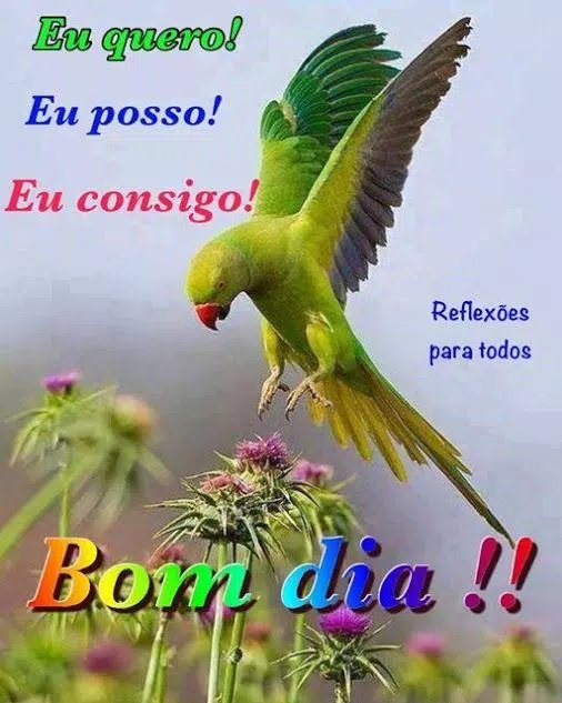 Bom Dia frases Imagens Animado HD APK für Android herunterladen Bom Dia frases Imagens Animado HD APK für Android herunterladen