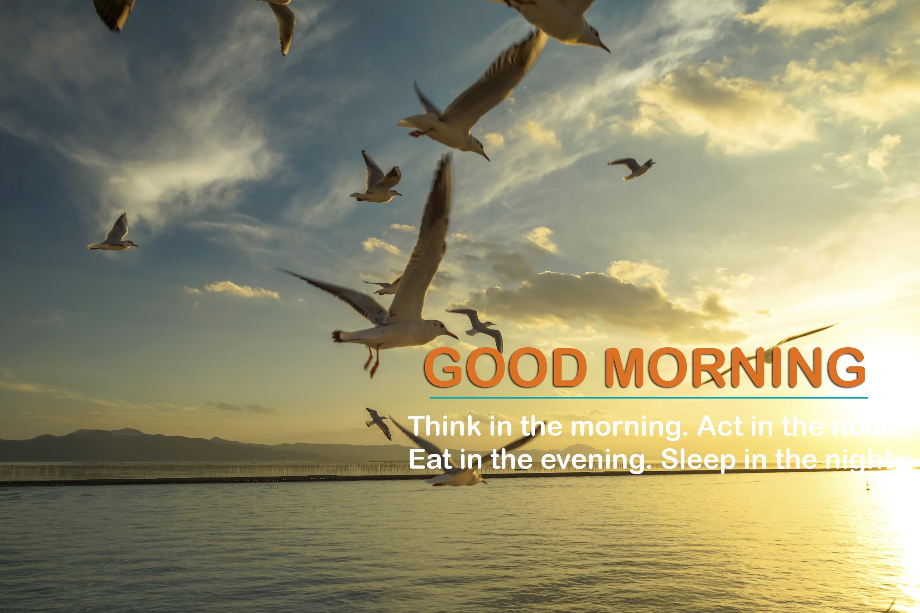 Good Morning Messages And Images APK for Android – Download Good Morning Messages And Images XAPK (APK Bundle) Latest Version from Good Morning Messages And Images APK for Android – Download Good Morning Messages And Images XAPK (APK Bundle) Latest Version from