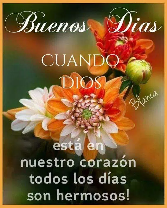 imagen de buenos días con frases bonitas Imágenes Buenos Dias Frases Bonitas Animado APK para Android Descargar