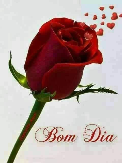 Download do APK de Bom Dia frases Imagens Animado para Android Download do APK de Bom Dia frases Imagens Animado para Android