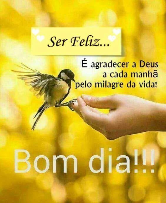 Bom dia feliz 2020