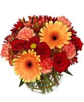Flowers Images GIF screenshot 1