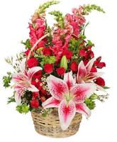 Flowers Images GIF poster