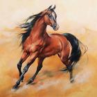Horse True Arabic Wallpaper Free icône