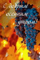 доброе утро screenshot 1