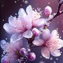 Good Morning Flowers 2024 APK