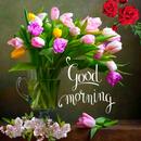 Good Morning and Good Night APK